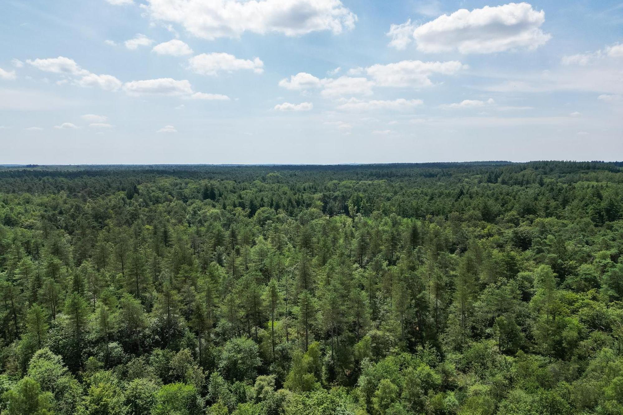 Veluwe Hoenderloo Luxury Chalet With Private Sauna And Hot Tub - Swimming Pool Tennis Court Supermarket Bowling Alley Theatre And Entertainment For Children מראה חיצוני תמונה