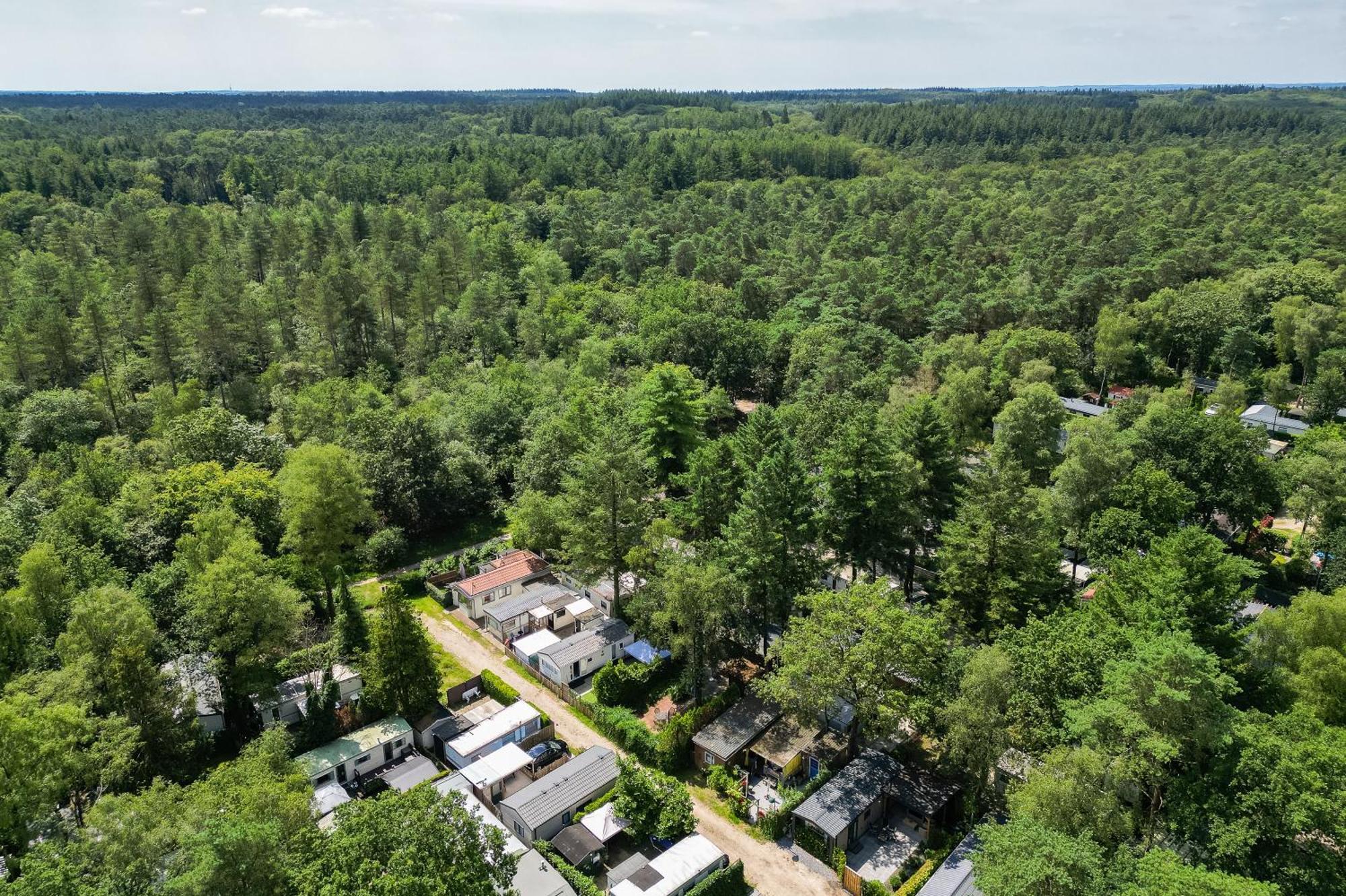 Veluwe Hoenderloo Luxury Chalet With Private Sauna And Hot Tub - Swimming Pool Tennis Court Supermarket Bowling Alley Theatre And Entertainment For Children מראה חיצוני תמונה